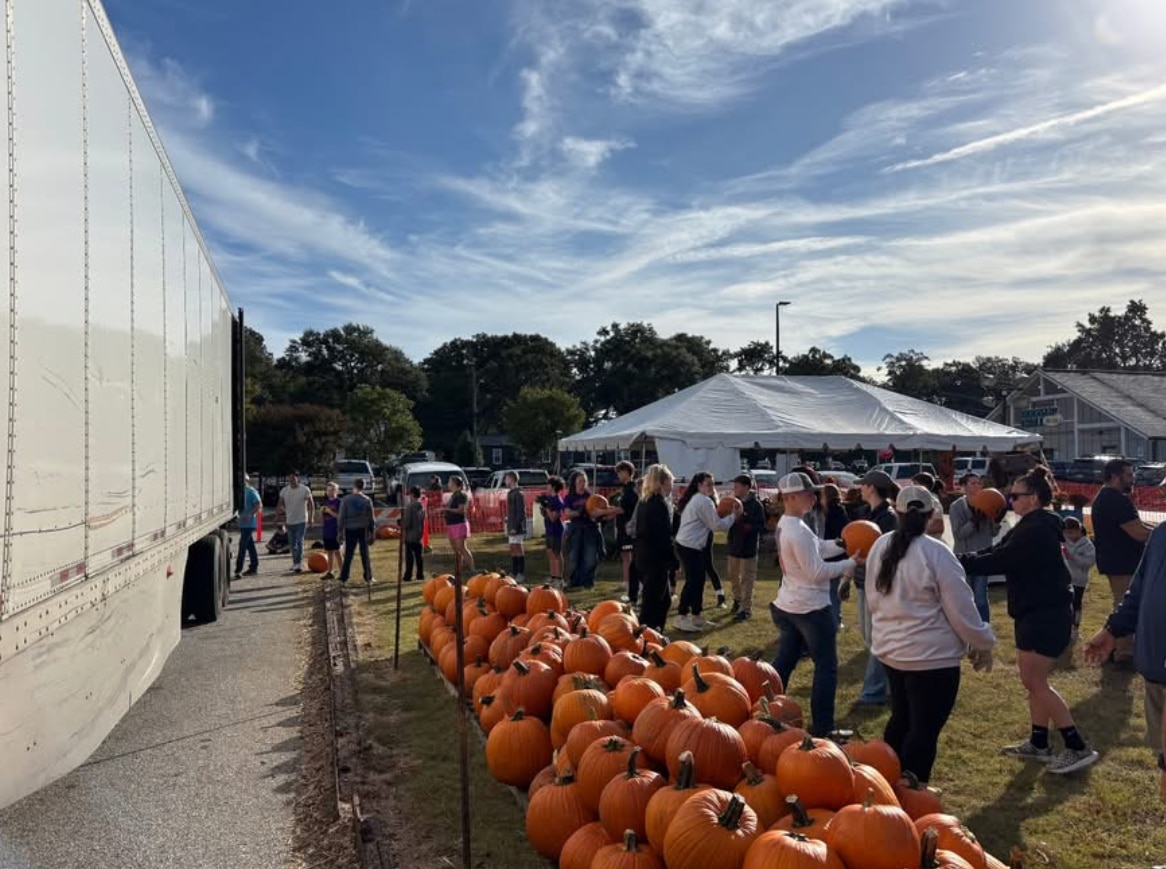 Rows of pumpkins for sale at the Golden Strip Pumpkin Patch in Simpsonville, South Carolina